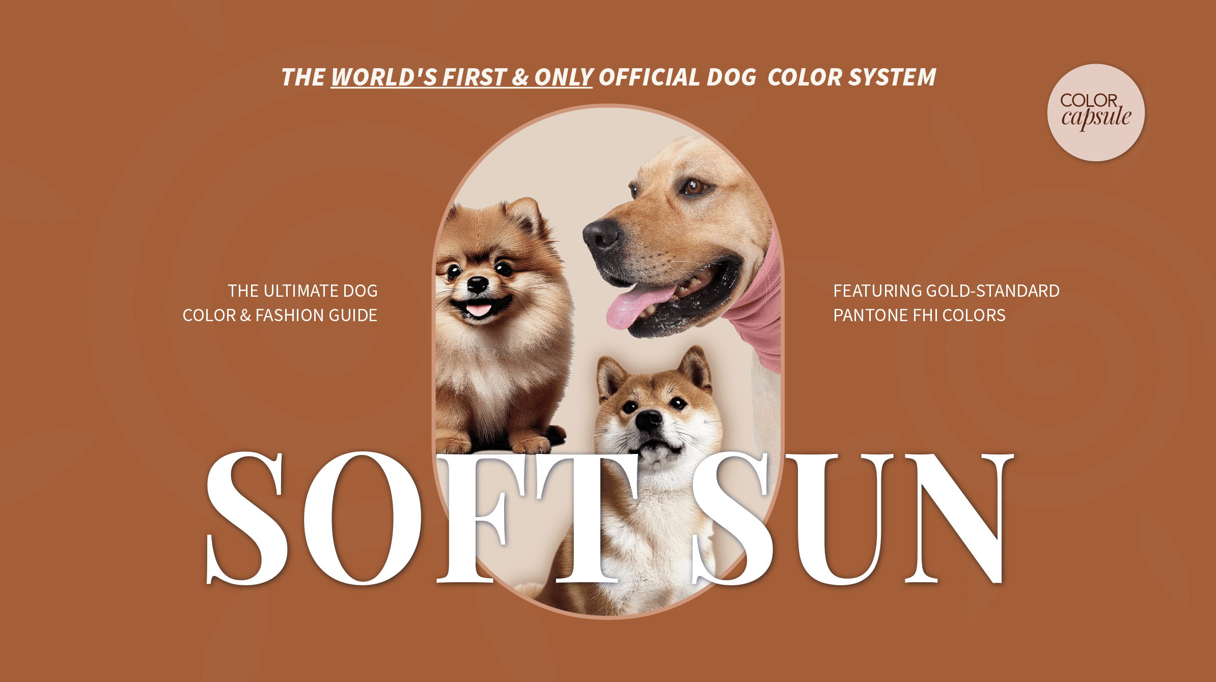 Soft Sun Dog Warm Color Guide